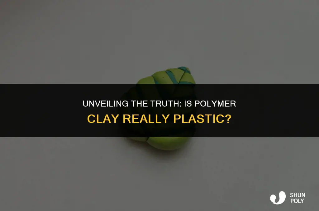 is polymer clay plastic