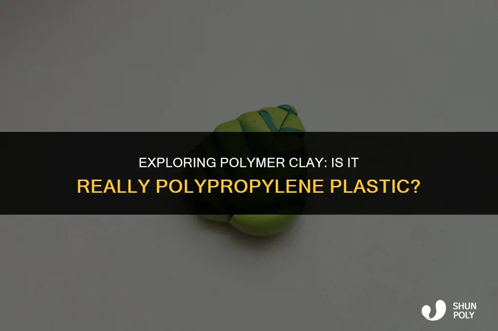 is polymerclay polypropylene plastic