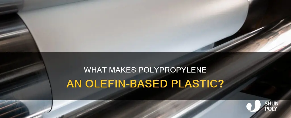 is polypropylene an olefin based plastic
