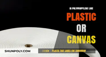 What's Polypropylene: Plastic or Canvas?