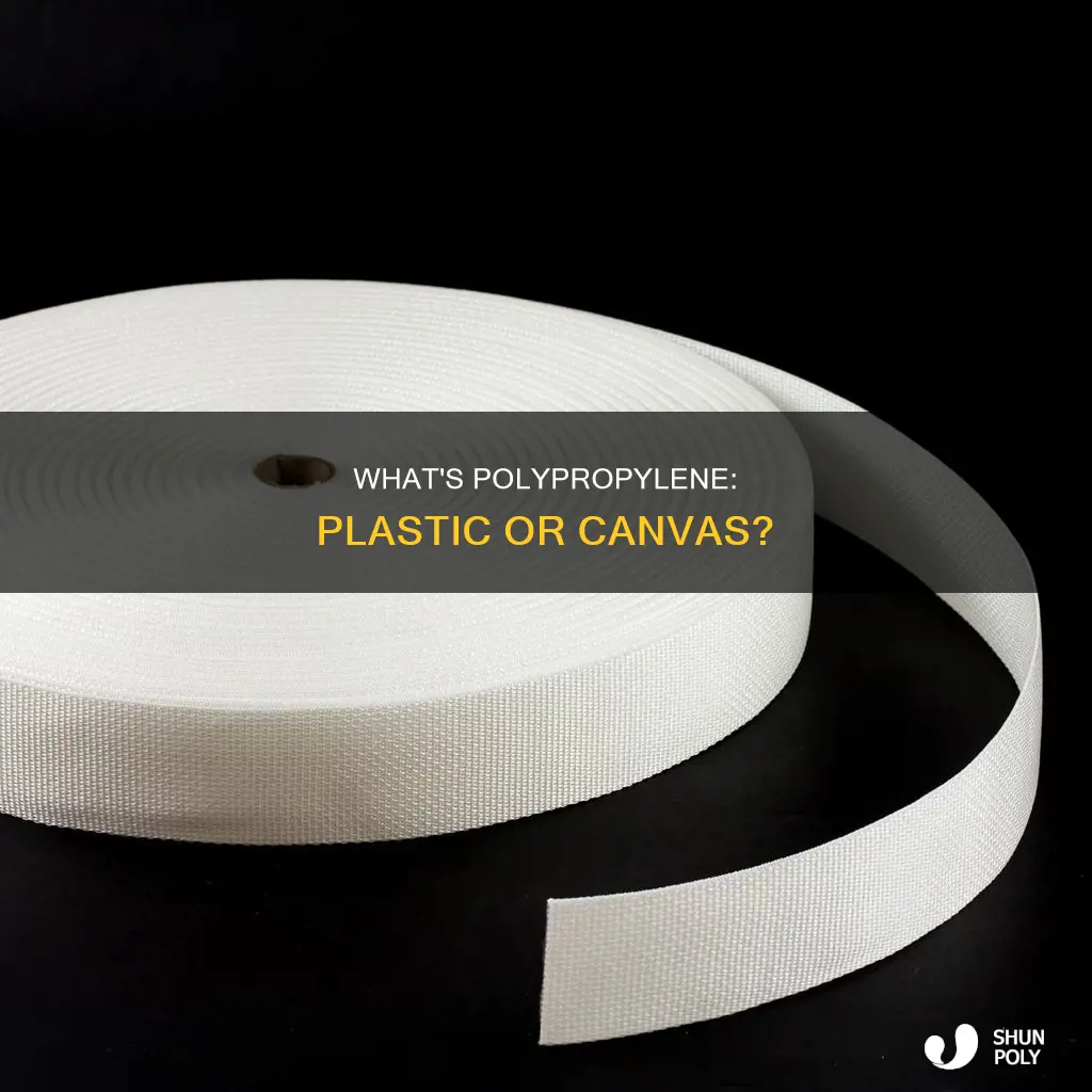 is polypropylene like plastic or canvas