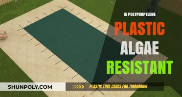 Unveiling the Truth: Is Polypropylene Plastic Truly Algae-Resistant?