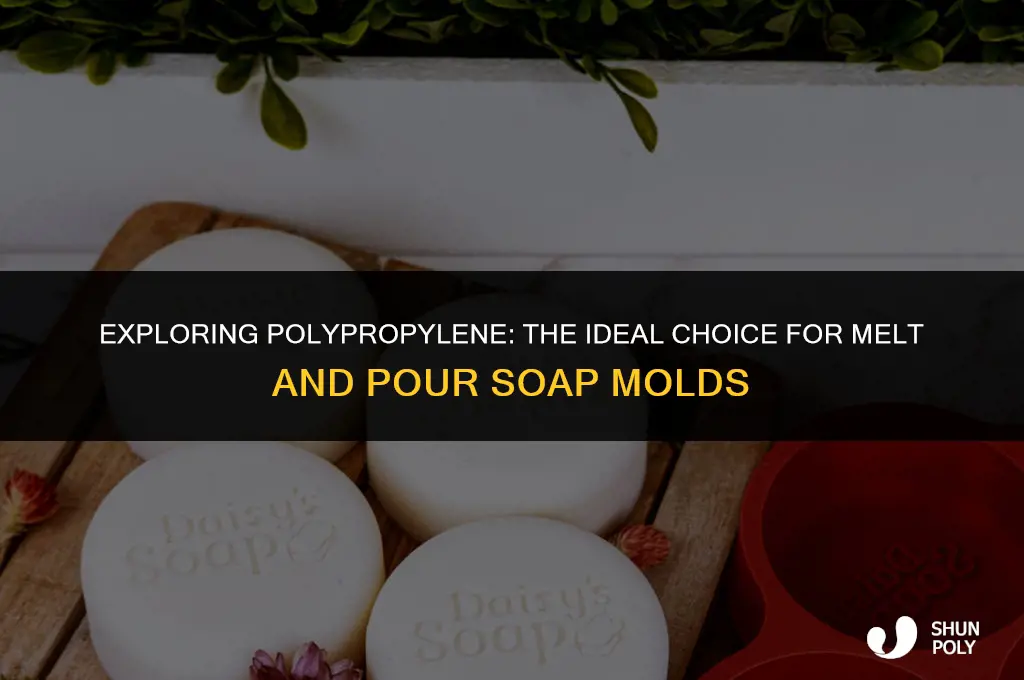 is polypropylene plastic good for melt and pour soap mold