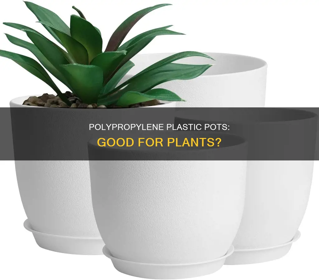 is polypropylene plastic pots good for plants