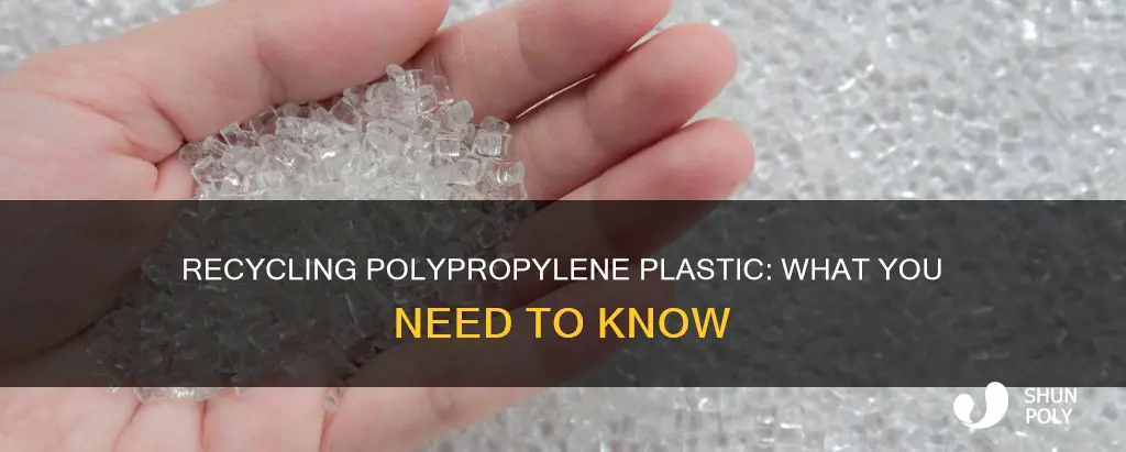 is polypropylene plastic recyclable ndmc