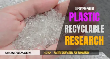 Polypropylene Plastic: Is It Recyclable? Research Explores