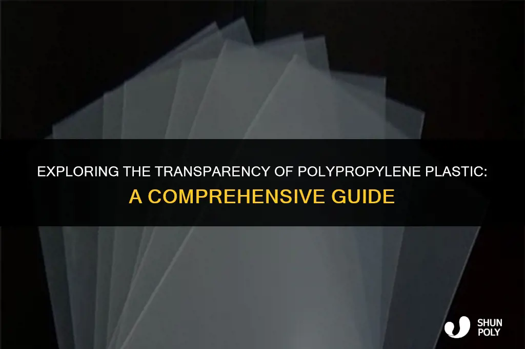 is polypropylene plastic transparent