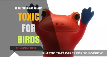 Polyresin and Plastic: Safe or Toxic for Birds?