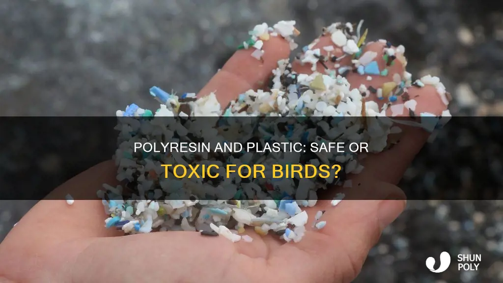 is polyresin and plastic toxic for birds