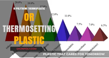 Polythene: Thermosetting or Thermoplastic?