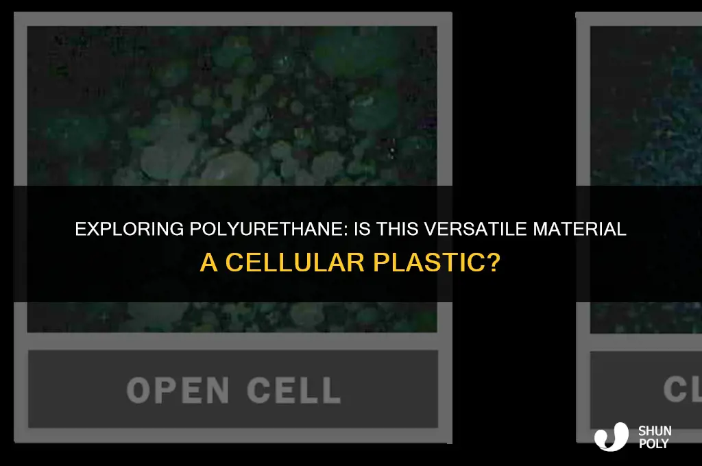 is polyurethane a cellular plastic