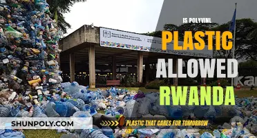 Rwanda's Stance on Polyvinyl Plastic: A Comprehensive Guide