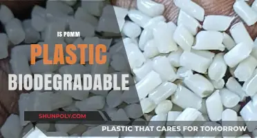 Unveiling the Truth: Is POMM Plastic Truly Biodegradable?