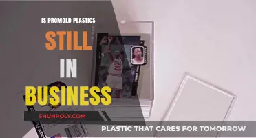 Promold Plastics: Still in Business?