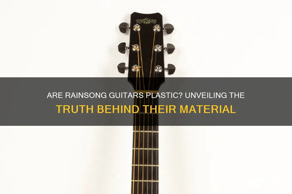 is rainsong guitars made of plastic
