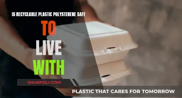 Is Polystyrene Safe? The Truth About Recyclable Plastic