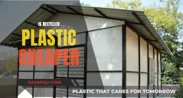 Recycled Plastic: Cheaper Option or Expensive Myth?