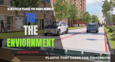 Recycled Roads: Plastic's Environmental Impact Explored