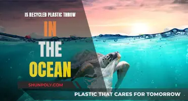Ocean-Bound Plastic: Recycled or Reused?