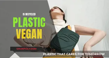 Recycled Plastic: Vegan-Friendly or Not?