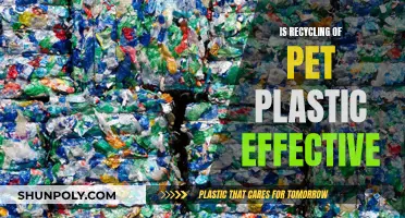 Pet Plastic Recycling: Effective or Just a Feel-Good Gesture?