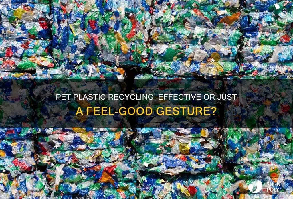 is recycling of pet plastic effective