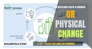 The Complex Nature of Recycling Plastic: Change Understanding