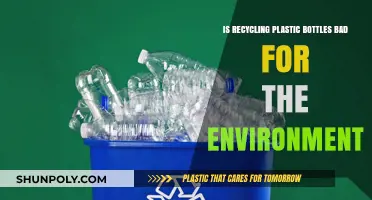 Recycling Plastic Bottles: Environmental Savior or Hidden Eco-Disaster?
