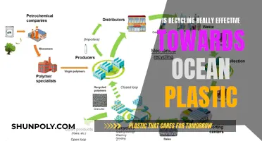 Recycling's Effectiveness: Ocean Plastic's Bane or Boon?