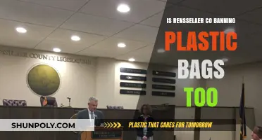 Rensselaer County's Plastic Bag Ban: Necessary Step or Overreach?