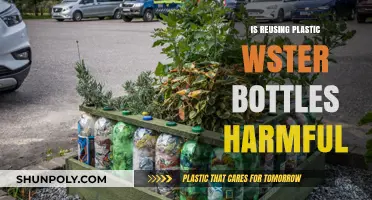 Reusing Plastic Water Bottles: Health Risks and Environmental Concerns Explained
