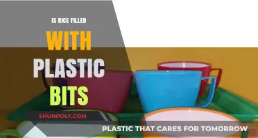 Rice and Plastic: What's the Truth?