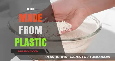 Debunking the Myth: Is Rice Made from Plastic?