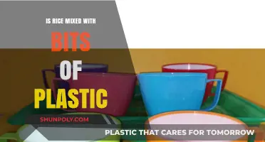 Rice and Plastic: Is Your Food Safe?