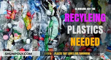 Rinsing Plastics: To Recycle or Not?
