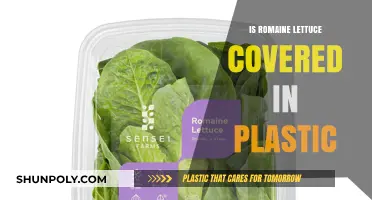 Romaine Lettuce: Plastic-Wrapped Freshness?