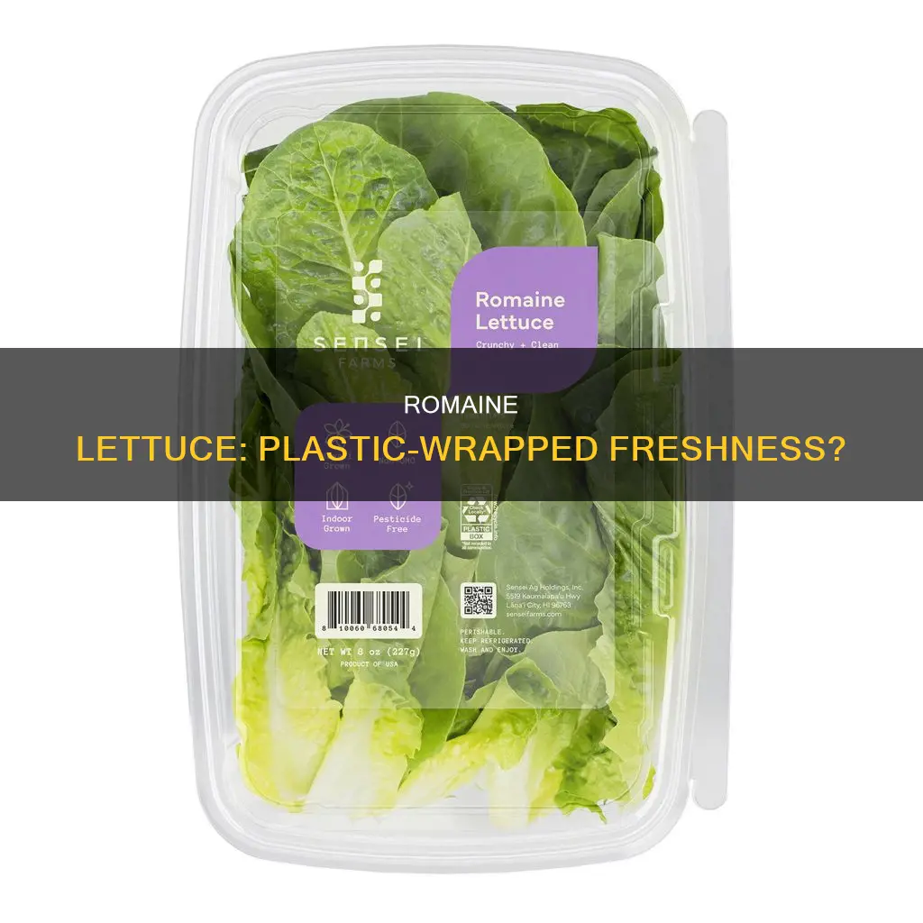 is romaine lettuce covered in plastic