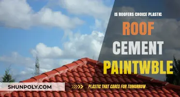 Roof Cement: Paintable or Not?