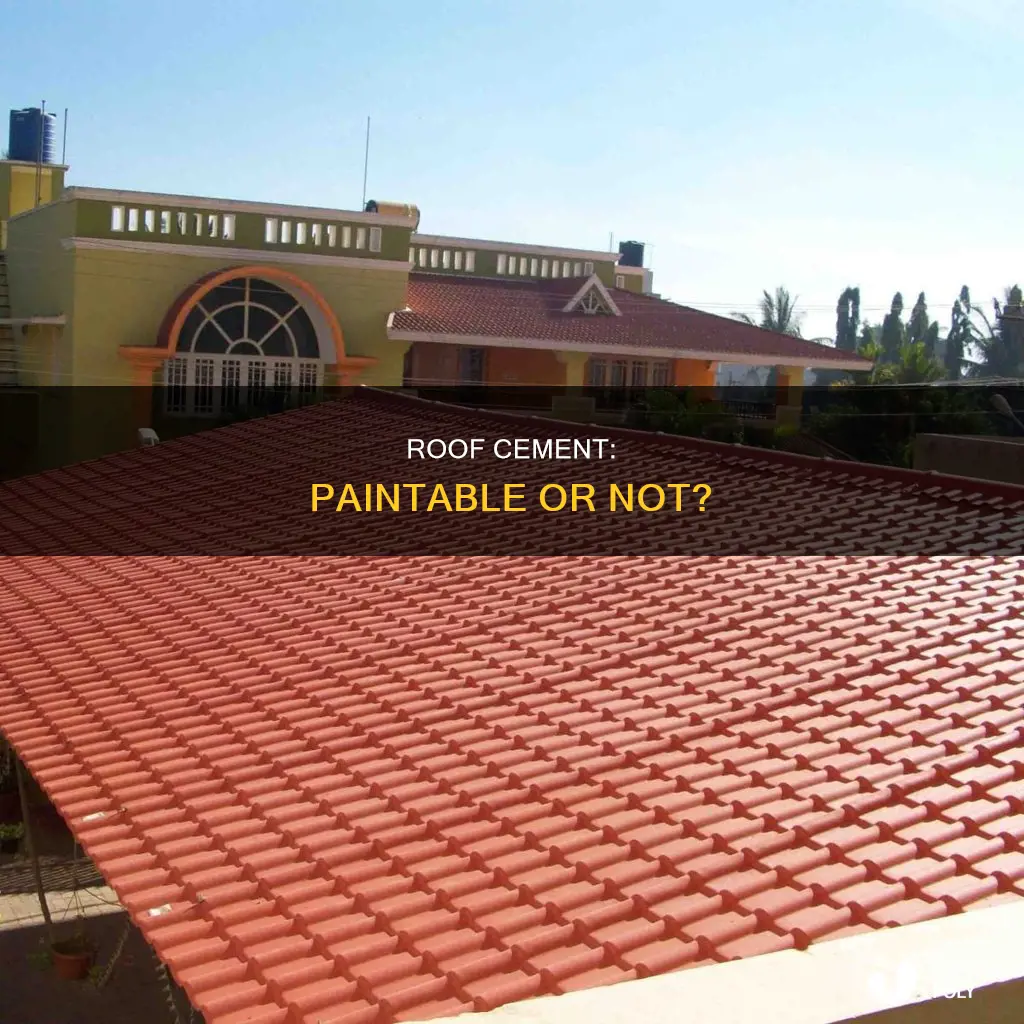 is roofers choice plastic roof cement paintwble
