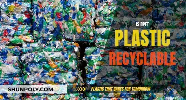 The RPET Plastic Conundrum: Is It Recyclable?
