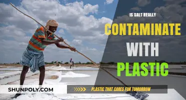 Salt and Plastic: A Toxic Mix?
