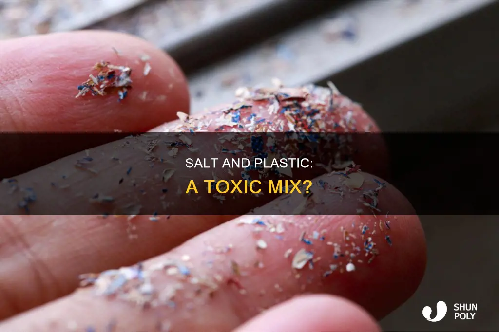 is salt really contaminated with plastic