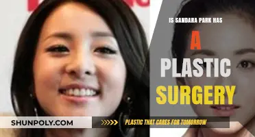 Sandara Park Plastic Surgery: Fact or Fiction? Unveiling the Truth