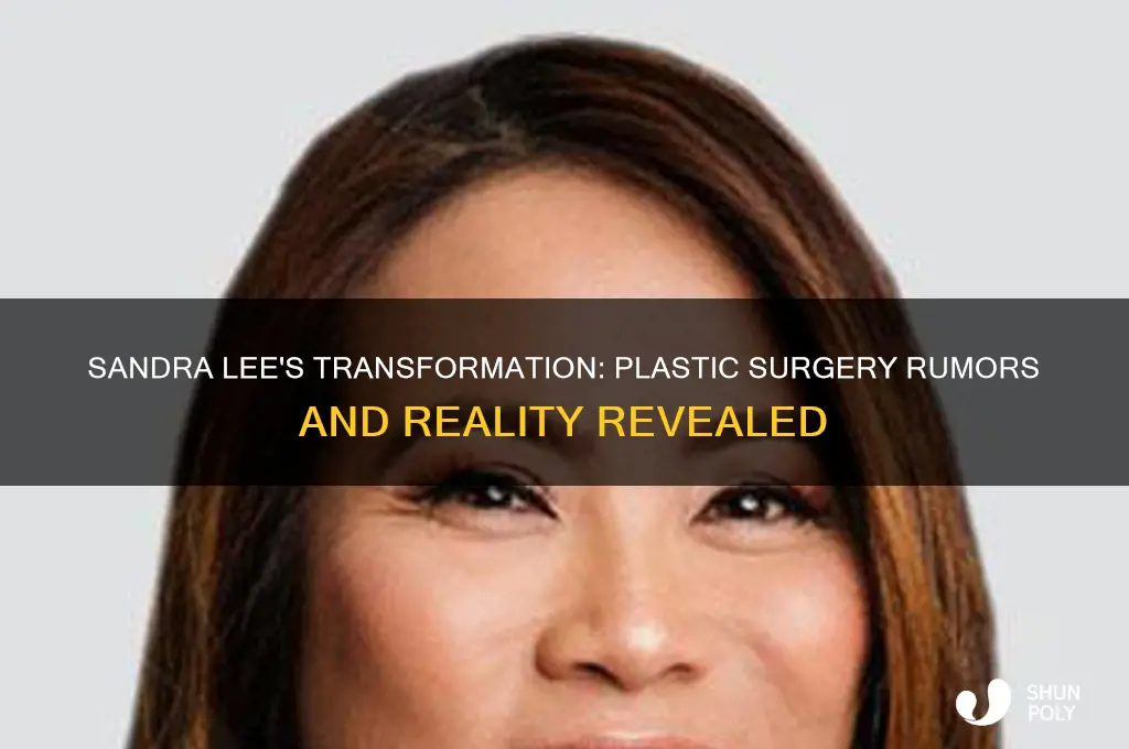 is sandra lee a plastic surgery