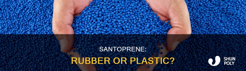 is santoprene a rubber or plastic