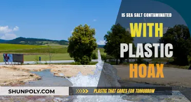 Sea Salt and Plastic: What's the Truth?