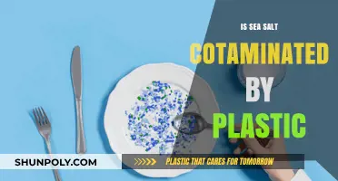 The Plastic Crisis: Is Sea Salt Safe?