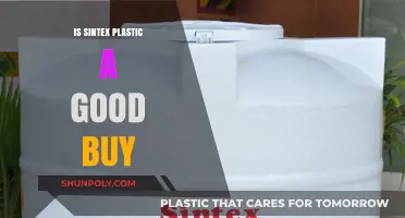 Is Sintex Plastic a Smart Investment Choice? Pros and Cons