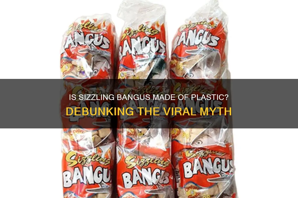 is sizzling bangus made of plastic