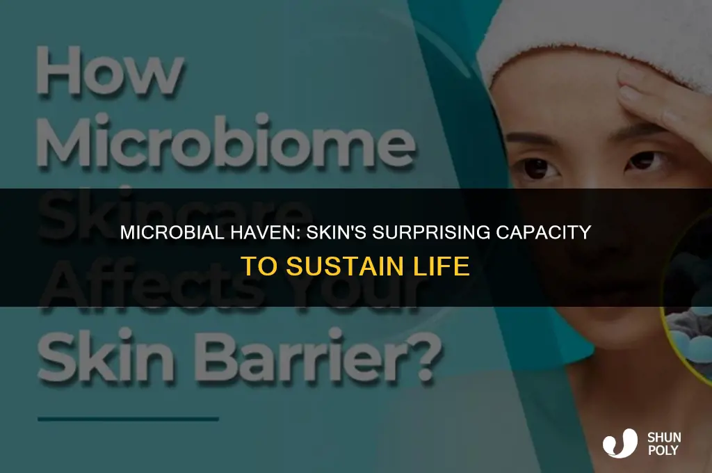 is skin able to sustain more microbes than plastic